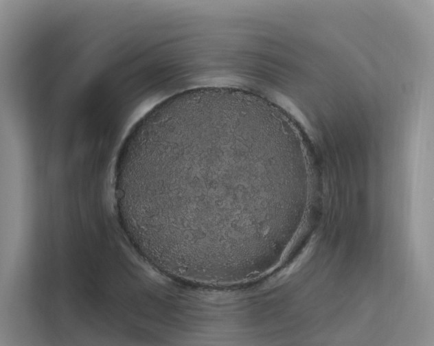X0000112161071200908071133