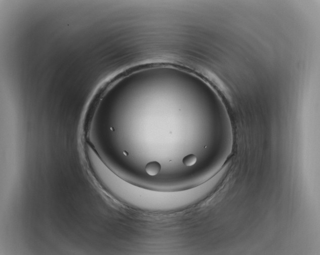 X0000112161072200908071133