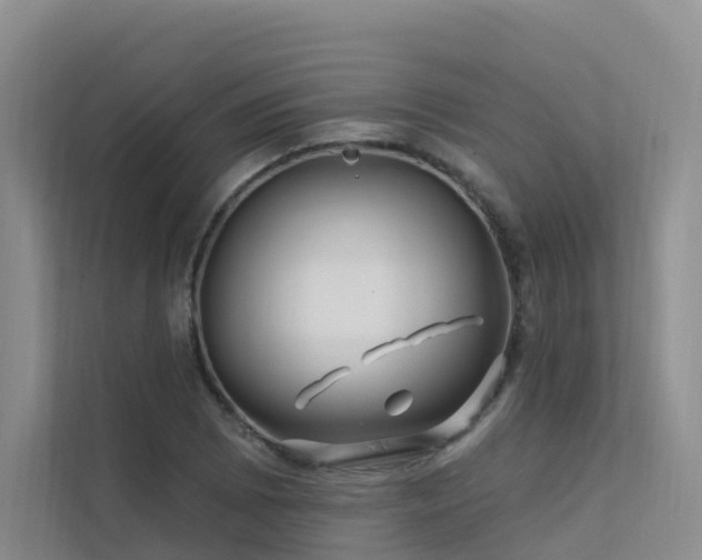 X0000112161073200908071133