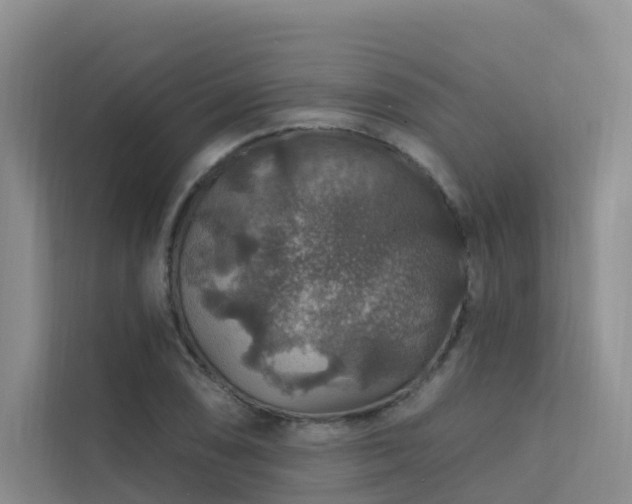 X0000112161074200908071133