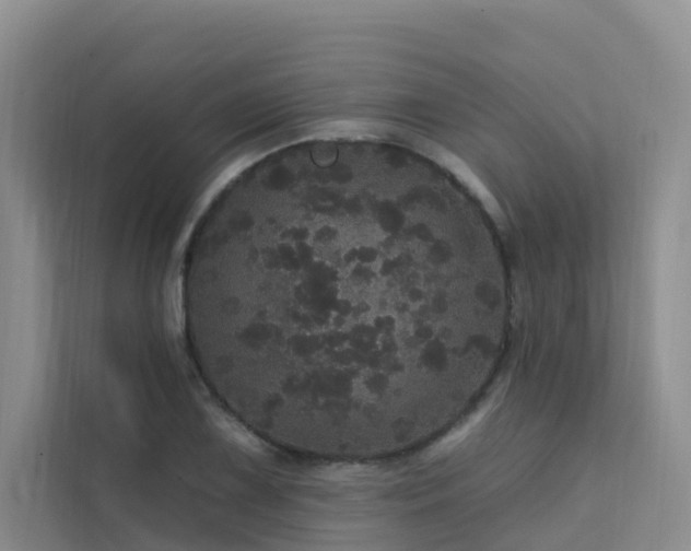 X0000112161075200908071133