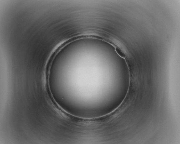 X0000112161076200908071133