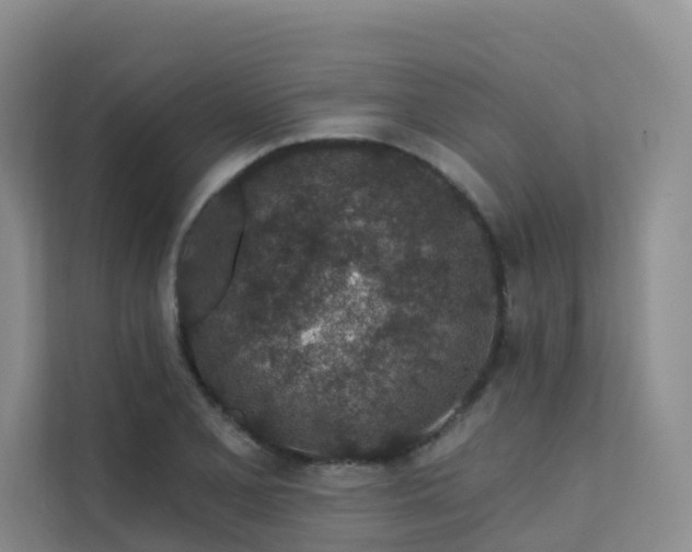 X0000112161077200908071133