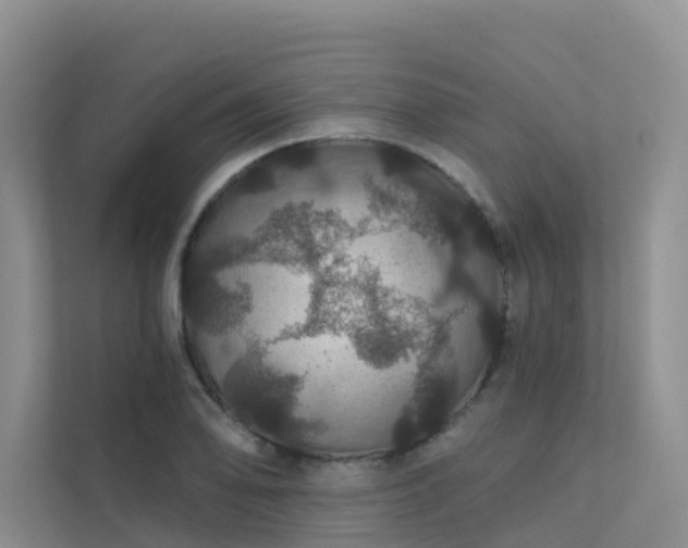X0000112161078200908071133