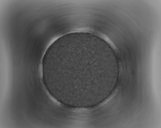 X0000112161079200908071133