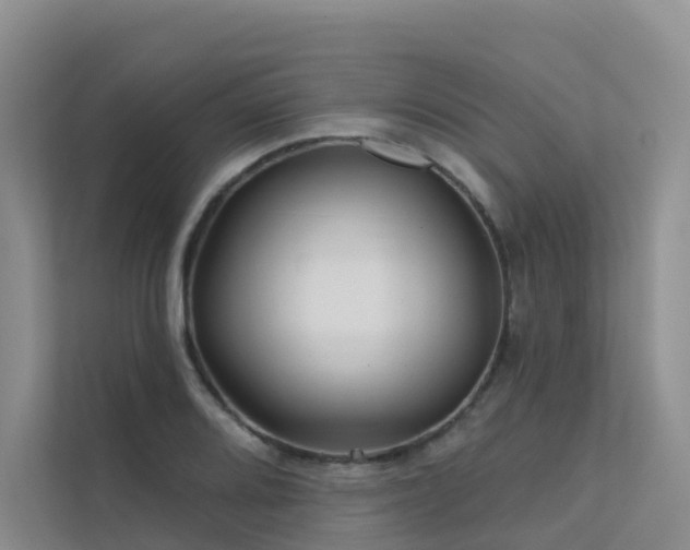 X0000112161080200908071133
