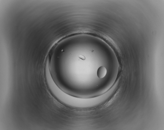 X0000112161081200908071133