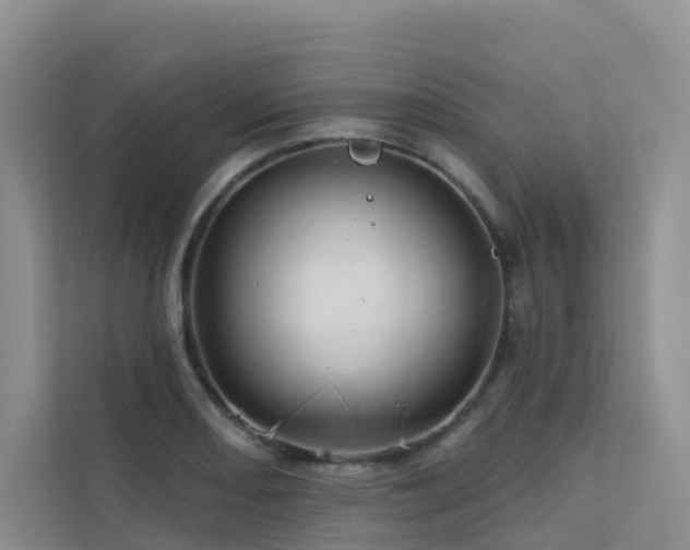 X0000112161082200908071133