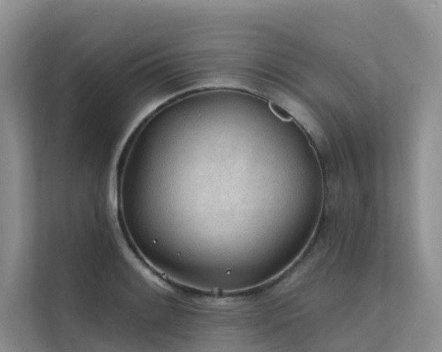 X0000112161084200908071133