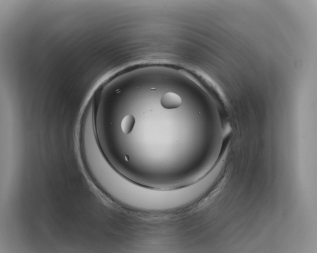 X0000112161085200908071133