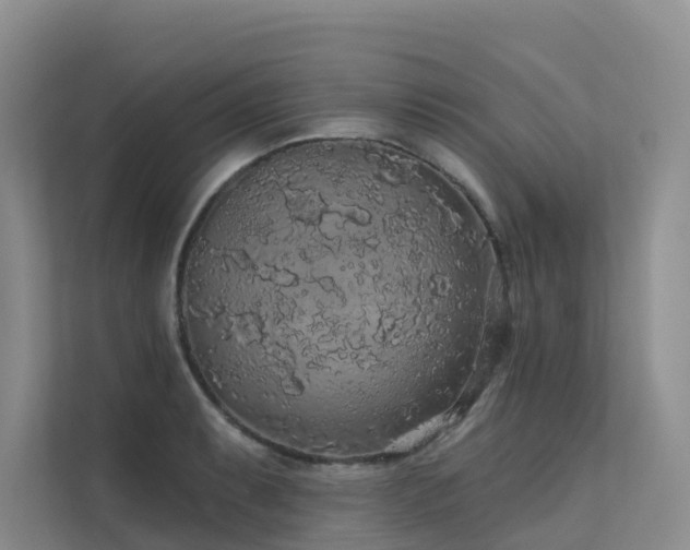 X0000112161087200908071133