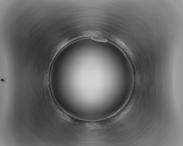X0000112161089200908071133