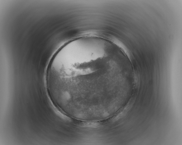 X0000112161090200908071133
