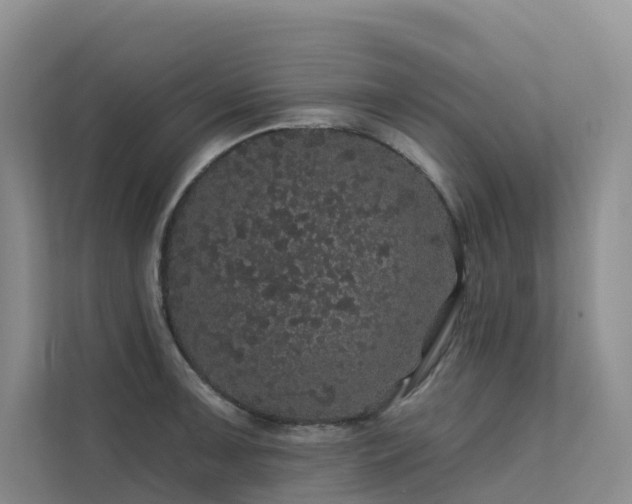 X0000112161091200908071133