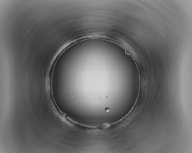 X0000112161092200908071133