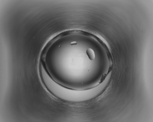 X0000112161093200908071133