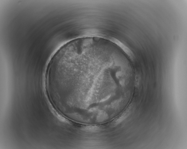 X0000112161094200908071133