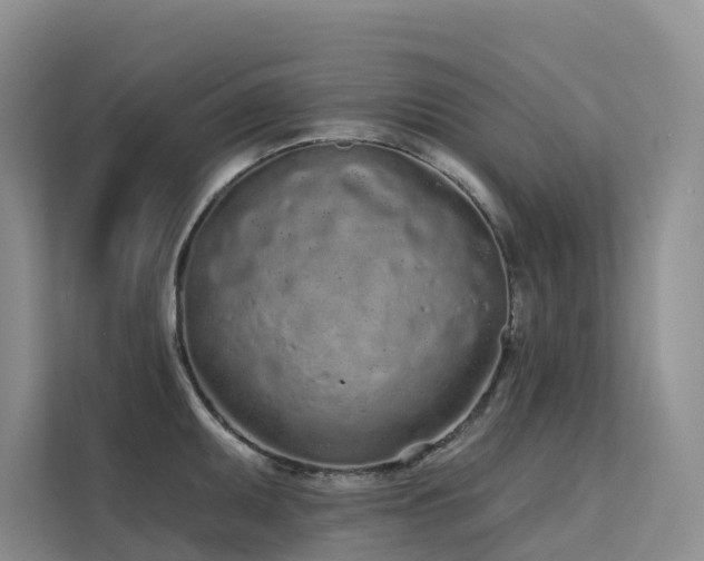 X0000112161095200908071133