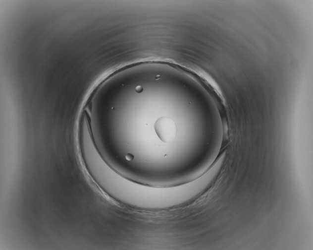 X0000112161096200908071133