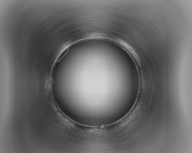 X0000112161097200908071133