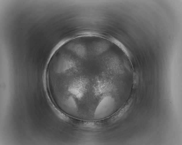 X0000112161098200908071133