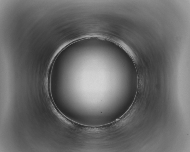 X0000112161100200908071133