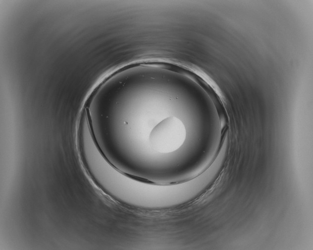 X0000112161101200908071133