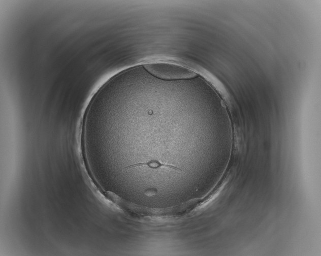 X0000112161102200908071133
