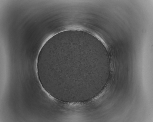 X0000112161103200908071133