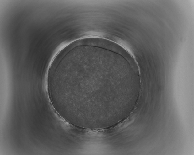 X0000112161104200908071133