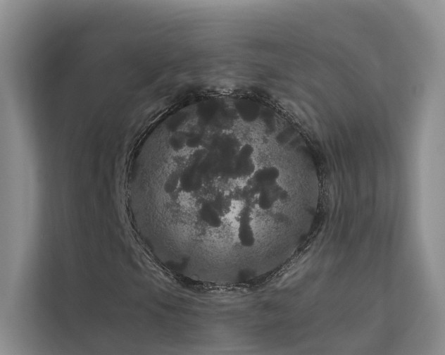 X0000112161105200908071132