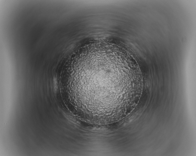 X0000112161106200908071132
