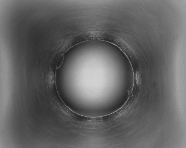 X0000112161107200908071132