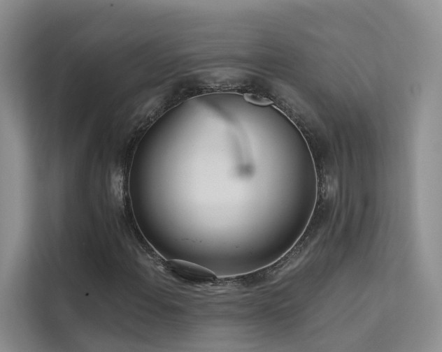 X0000112161108200908071132