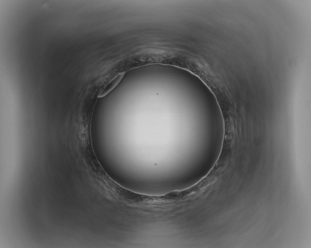 X0000112161109200908071132