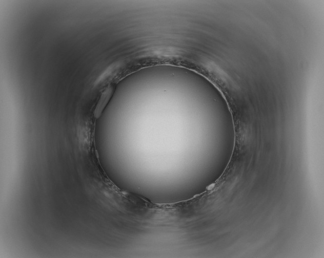 X0000112161110200908071132
