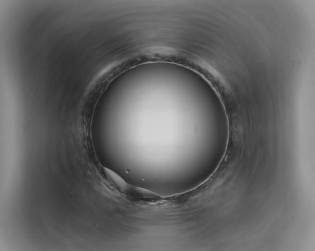 X0000112161112200908071132