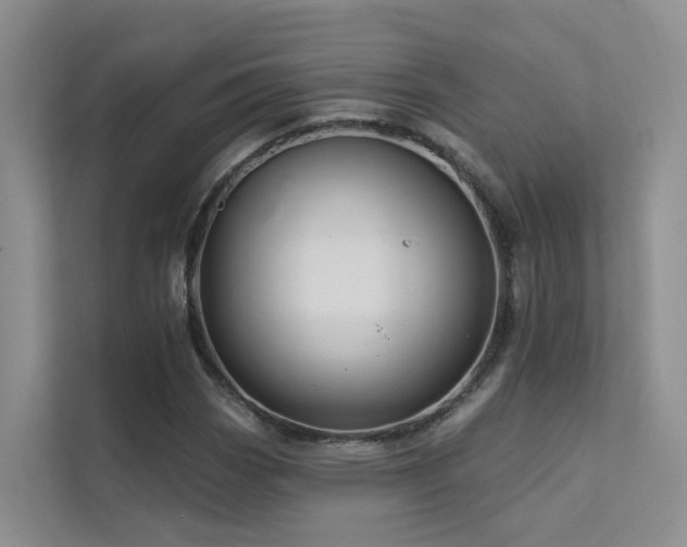 X0000112161113200908071132