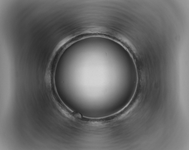 X0000112161114200908071132