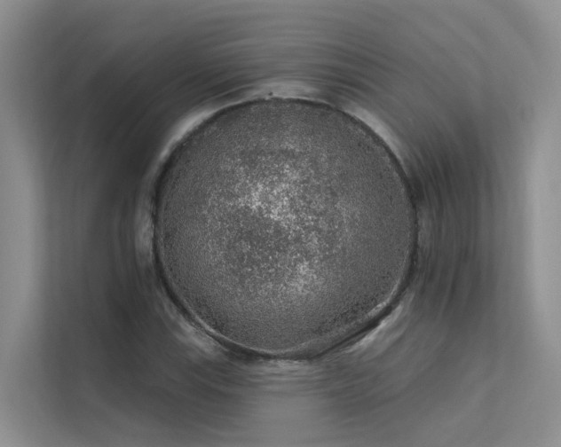 X0000112161115200908071132