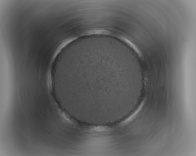 X0000112161117200908071132