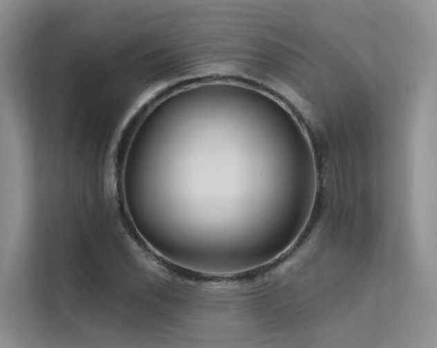 X0000112161118200908071132