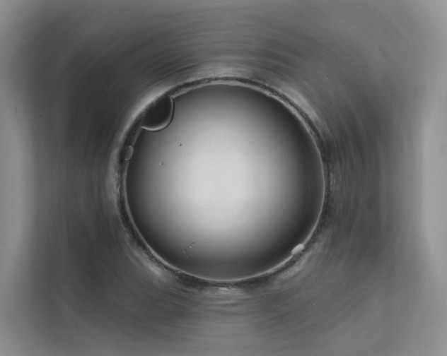 X0000112161119200908071132