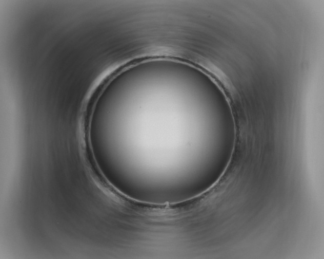 X0000112161120200908071133