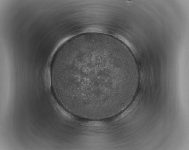 X0000112161123200908071133