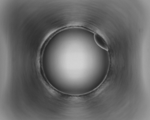 X0000112161124200908071133