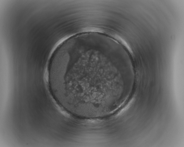 X0000112161125200908071133