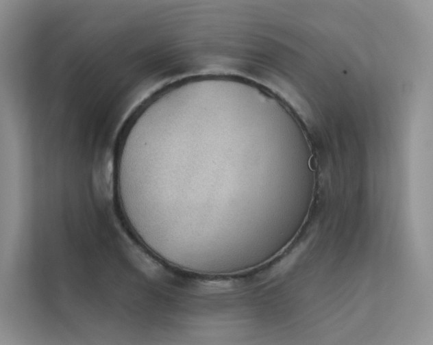 X0000112161126200908071133