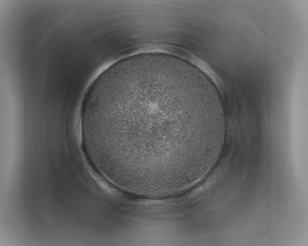 X0000112161127200908071133