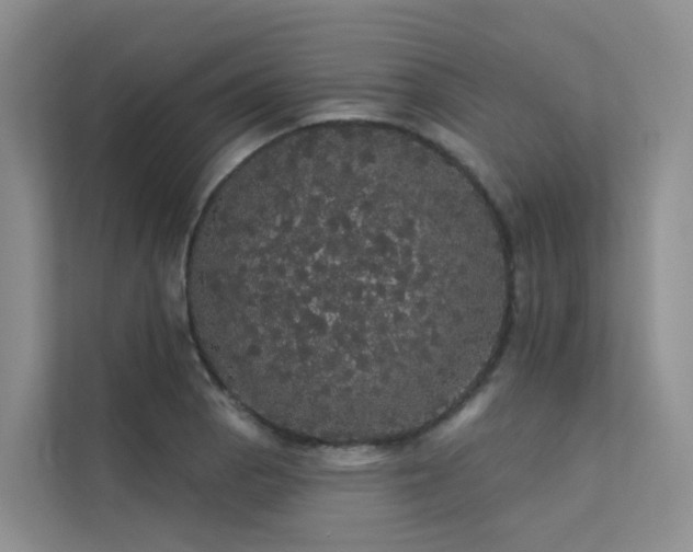 X0000112161129200908071133